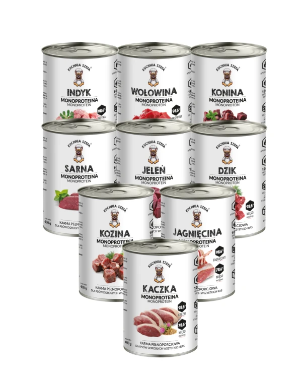 Projekt bez nazwy (48).png